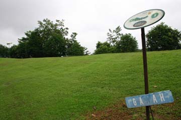image gallery