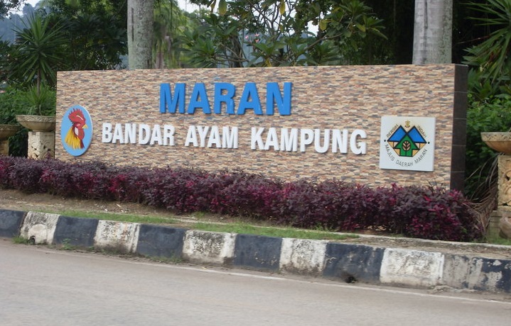 maran